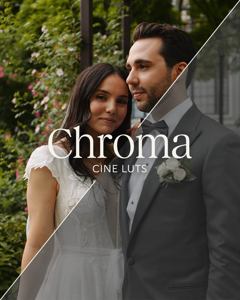 Chroma Cine LUTs for C-Log 2 Footage